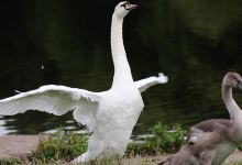 Stadt Moers Park景点图片