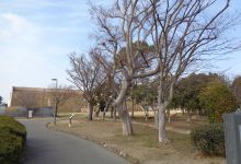 Harima Onaka Kodai No Mura景点图片