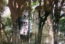 Torre di Rai景点图片