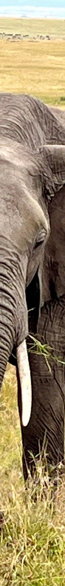 Adventure Africa Expedition-内罗毕