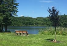 Alfred C. Sauer Park at Echo Lake景点图片