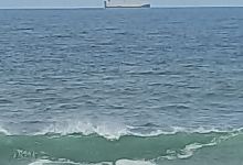 Palm Beach景点图片