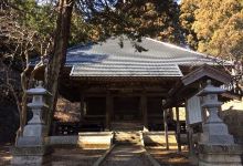 観音山梅の里 梅园景点图片