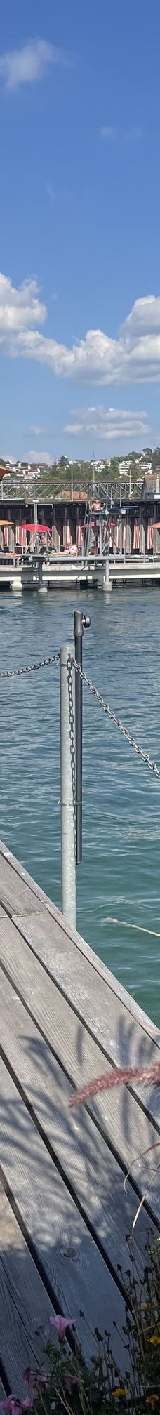 Rhybadi-沙夫豪森