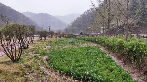 細良堤