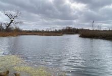 MLWA Unit #8景点图片