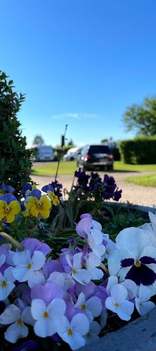 Campingplatz Seepferdchen-沙尔博伊茨