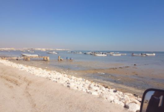 Sa'sa'a Bin Sohan Shrine景点图片