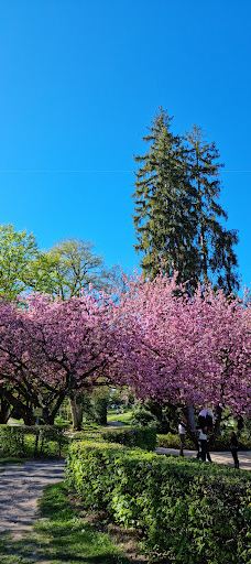 Nerotal-Anlagen-威斯巴登