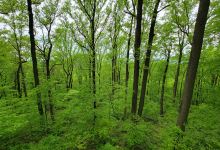 Musconetcong River Reservation景点图片