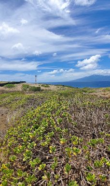 Kapalua Coastal Trail-卡帕拉奥阿