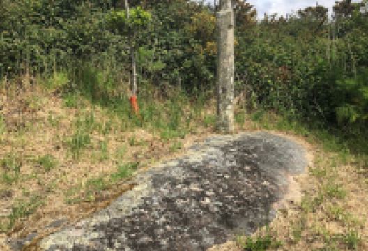 Pedra da Légua景点图片