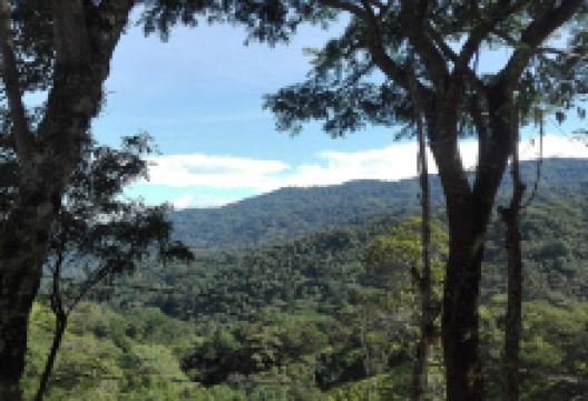 Iglesia Shekinah景点图片