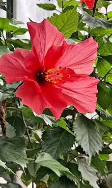 Butterfly Park Empuriabrava-Alt Emporda