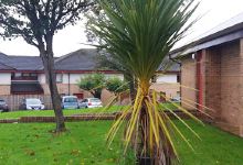 Kilwinning Library景点图片