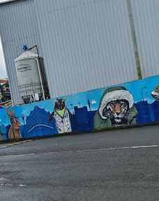 卡朗加黑皮路-奥克兰