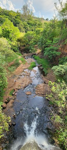 Parque dos Saltos-布罗塔斯