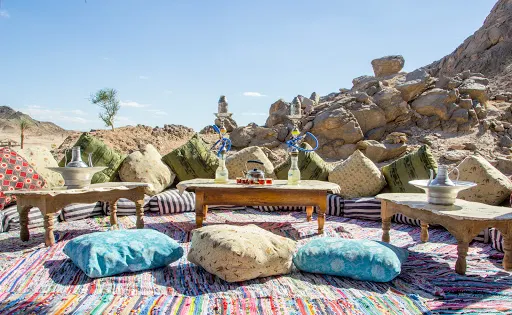 Oriental safari club