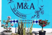 M & A Rosa do Deserto购物图片