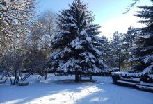 Ahmet Uslu Dutluk Parkı景点图片