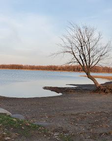 Campbell’s Bay Campground-斯旺顿