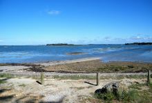 Salt marshes of Saint Armel景点图片