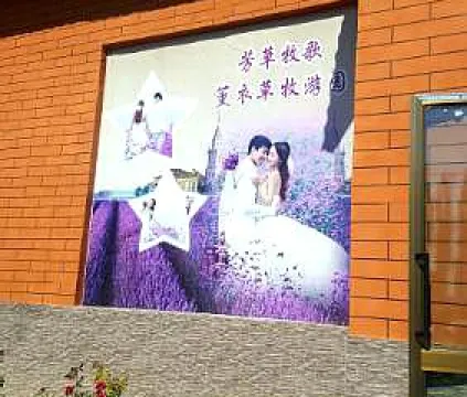 芳草牧歌薰衣草園