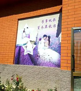 芳草牧歌薰衣草園