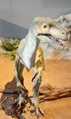 Musee des Dinosaures 'Dinosauria'-埃斯佩拉扎