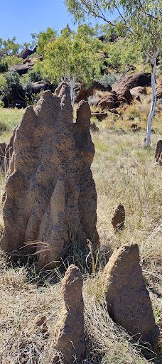 Violet Valley Campground-奥德里弗