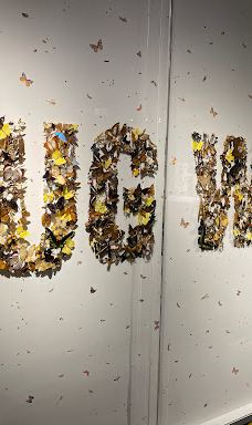 布法罗科学博物馆-布法罗