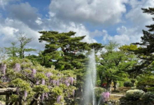 千秋公园景点图片