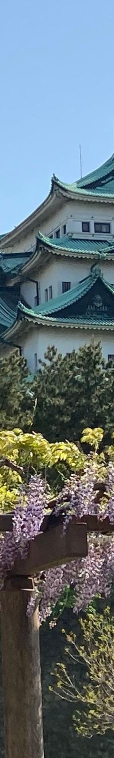 名城公园-名古屋