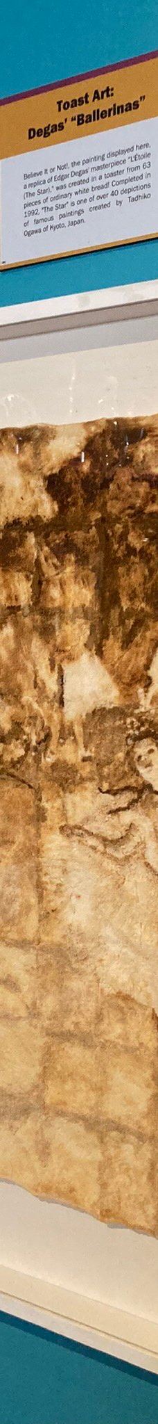 Ripley's Believe It or Not! World of Adventure-纽波特