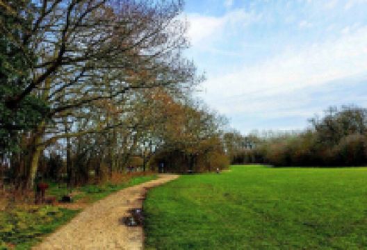 Belhus Woods Country Park景点图片