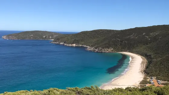 Shelley Beach
