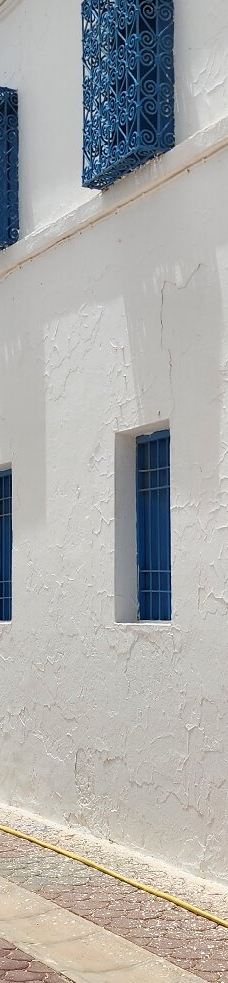 El Ghriba Synagogue-吉尔巴岛