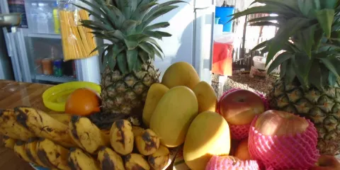 巴拉望野生動物救援和保護中心