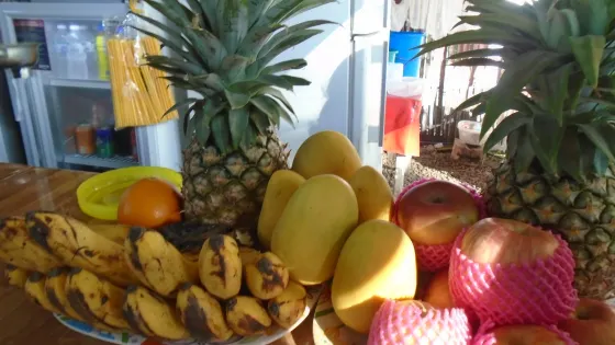 巴拉望野生動物救援和保護中心