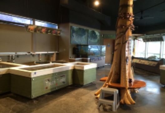 Arthur D. Feiro Marine Life Center景点图片