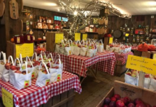 Shelburne Farm景点图片