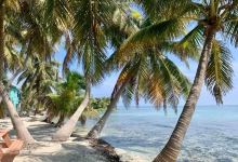Laughing Bird Caye National Park景点图片