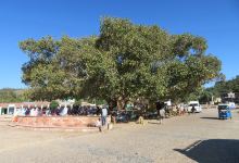 Saturday market景点图片