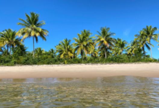 Ilha do Campinho Beach景点图片