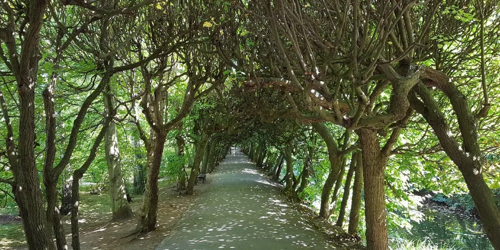 永安旅遊