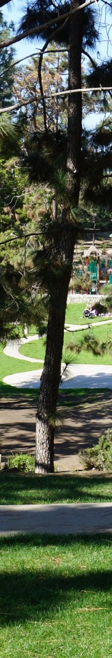 Pines Park-达纳点