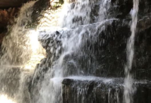 Vallee des Oiseaux景点图片