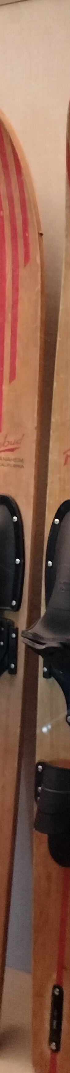 Francis Ford Coppola Winery-索诺马县