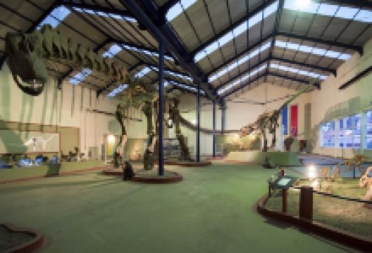 Museo Carmen Funes景点图片