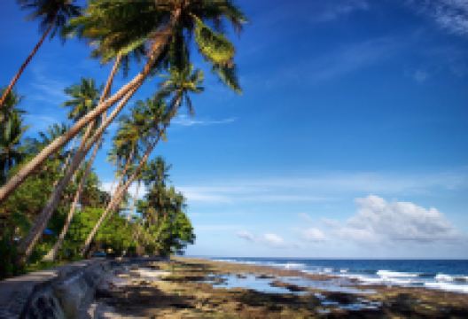 Namalatu Beach景点图片